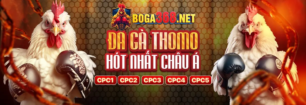 Đa dạng loại hình cá cược thể thao tại Fyl888