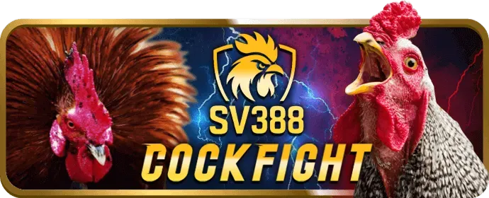 Cá cược bóng rổ Fyl888